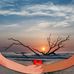 Barbara Mcswain - Facebook