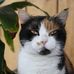 Barb McVey Heizer - Facebook
