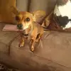 Barbara Mcvey - @barbara.mcvey - TikTok