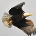 Barbara McWilliams - Facebook