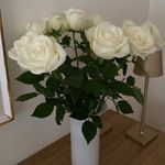 Barbara Brotzer-Menichetti - @brotzermenichetti - Instagram