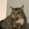 Barbara - @barbaramenke - TikTok