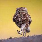 Barbara Niederberghaus - @barbara.menzel.79 - Instagram