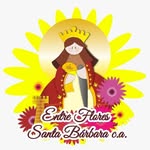 Santa Bárbara Store / Regalos Mérida - @entrefloressanta - Instagram