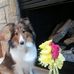 Barbara Meriwether - Facebook