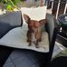 Barbara Merkel - Facebook