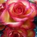 Barbara Merrick - Facebook