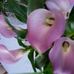 Barbara Merta - Facebook