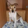 Barbara Mertz700 - @lieselotte0408 - TikTok