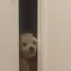 Barbara Messel - @barbaramessel - TikTok