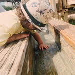 Barbara Messenger - @messenger1760 - Instagram