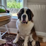 Barbara Messmer - @barbaramessmer - Instagram