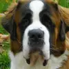 barbaramessmer775 - @barbaramessmer775 - TikTok