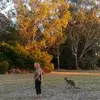 Barbara Messner365 - @messnerb - TikTok