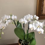 Barbara Messner - @hbmessner - Instagram