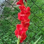 Barbara C. Metts - @metts5876 - Instagram