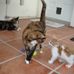 Barbara Metts - Facebook