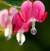 Barbara Meyn - Facebook