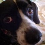 Barbara Michaelson - @bmichaelson50 - Instagram