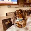 barbaramichette - @barbaramichette - TikTok
