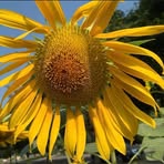 Barbara Michner - Facebook