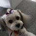 Barbara Mickles - Facebook