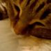 Barbara Micucci - Facebook