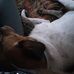 Barbara Mitolo - Facebook