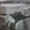 Barbara Milanko - @barbaramilanko - TikTok