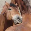 Barbara Mills - @barbaramills34 - TikTok