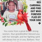 Barbara Milliner - Facebook