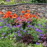 Barbara Milne - @milne3362 - Instagram