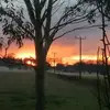 Barbara Milne - @barbara.milne0 - TikTok