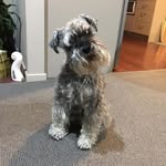 Barbara Milner - @barbara.milner.161 - Instagram
