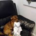 Barbara J. Flanders-Milo - Facebook