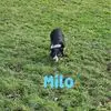 Barbara Milo - @barbaradewitbrinc - TikTok