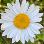 Barbara Milsom - @mily_mum - Instagram