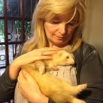 Barbara Minarelli - @barbaraminarelli - Instagram