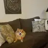 Barbara Miner - @barbara.miner5 - TikTok