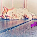 barbaramingarelli - @bmingarelli28 - Instagram