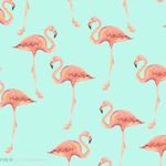 Barbara Mingle - @barb_flamingle - Instagram
