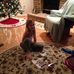 Barbara Miracle - Facebook