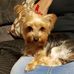 Barbara Mire - Facebook