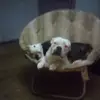 Barbara Mitchell - @barbara.mitchell106 - TikTok