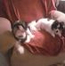 Barbara Mitchem - Facebook