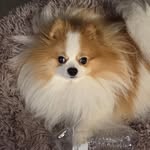 Barbara Mohler Nikolaeff - @anikolaeff6 - Instagram