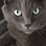 Barbara Mohr - @barbaragmohr - Instagram