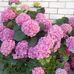 Barbara Mohr - Facebook