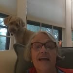 Barbara Mohr - @bjwmohr - Instagram