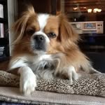 Barbara Monahan - @barbaramonahan469 - Instagram